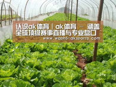 种植基地五