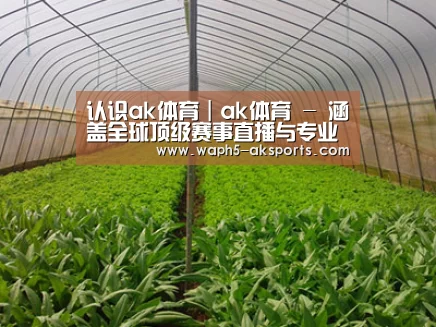 种植基地四