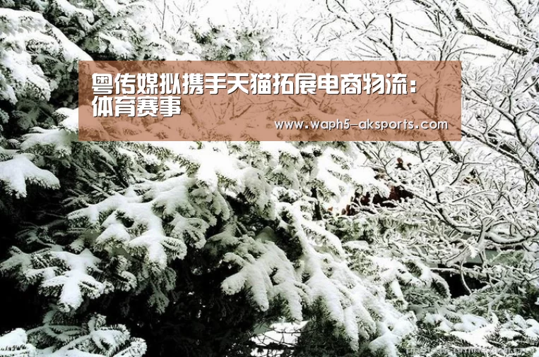 粤传媒拟携手天猫拓展电商物流: 体育赛事(图1) 观赛体验