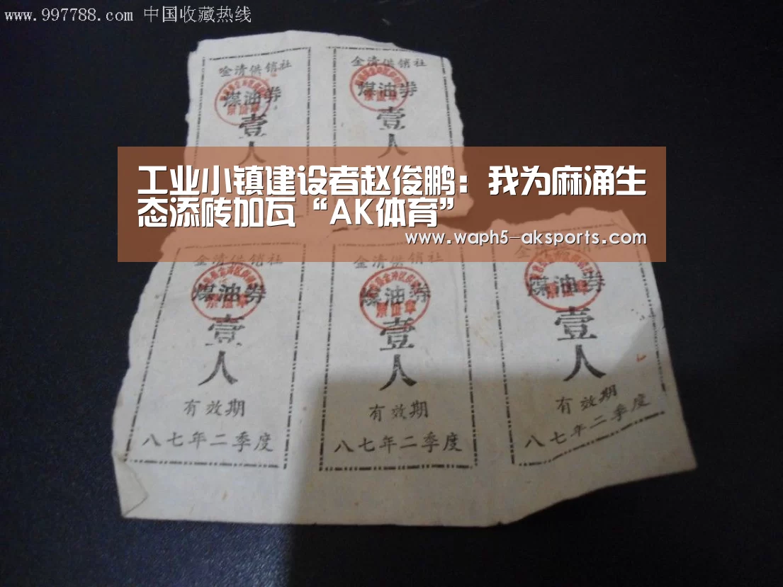 工业小镇建设者赵俊鹏:我为麻涌生态添砖加瓦“AK体育”(图1) 体育视频