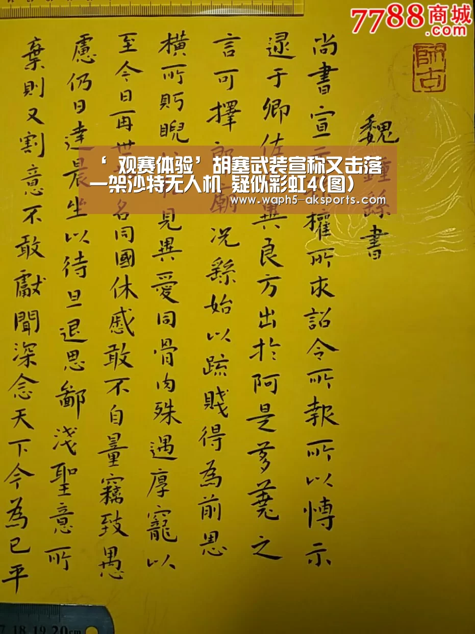 ‘ 观赛体验’胡塞武装宣称又击落一架沙特无人机 疑似彩虹4(图)(图1) 观赛体验