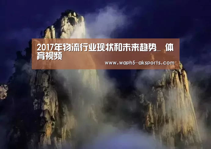 2017年物流行业现状和未来趋势_ 体育视频(图1) 数据分析