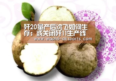 歼20量产后沈飞如何生存:或关闭歼11生产线转产FC31“ 观赛体验”(图2) 体育赛事
