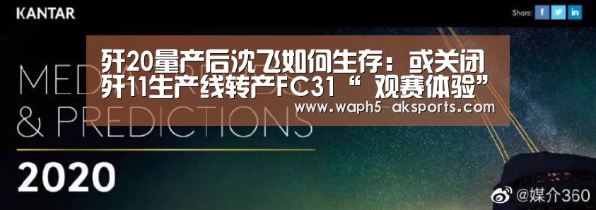 歼20量产后沈飞如何生存:或关闭歼11生产线转产FC31“ 观赛体验”(图1) AK体育