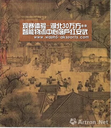  体育视频